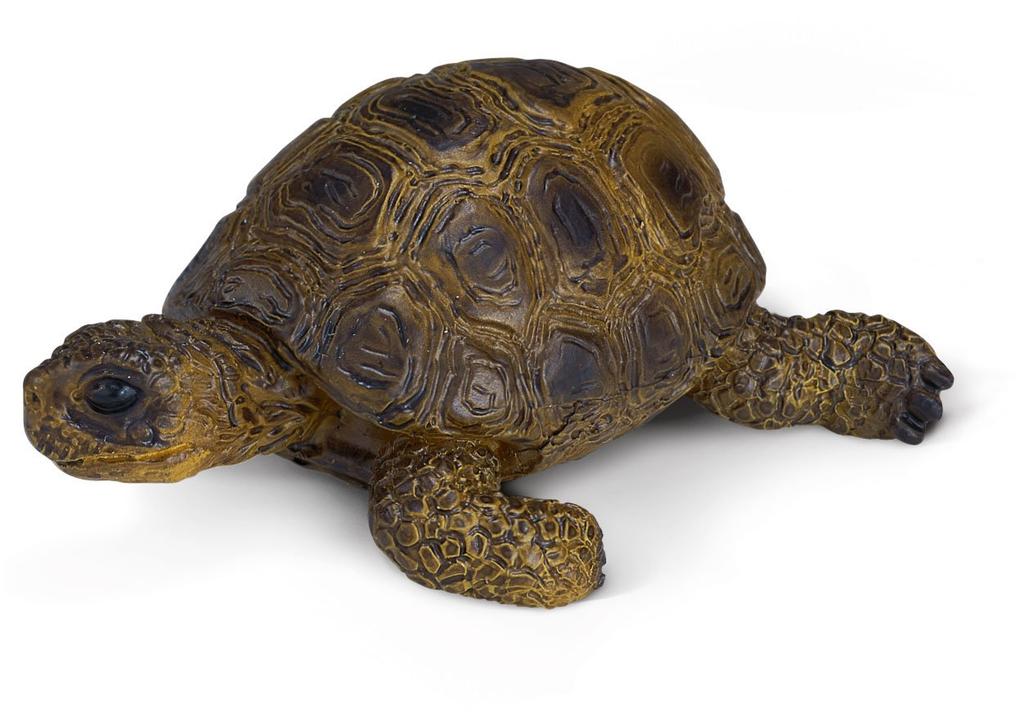 Schleich Farm World Turtle Figure 14404