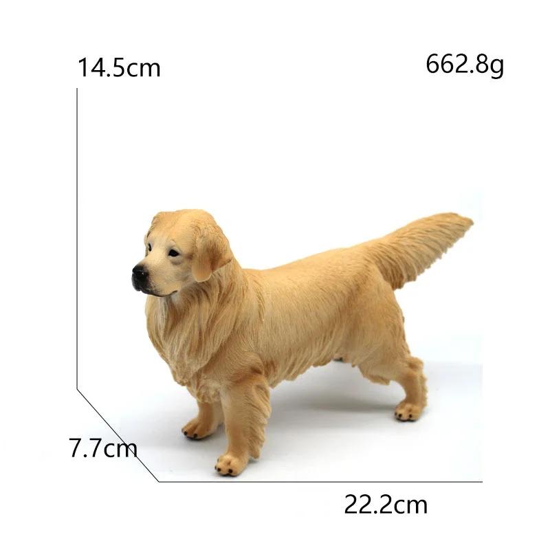 Realistic Golden Retriever Model Large Lifelike Dog Statue Pet Decor Educational Toy Birthday Gift