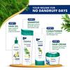 Himalaya Anti Dandruff Tea Tree Conditioner For All Hair Types 80ml – Nourishes, Smoothens, Reduces Breakage, Leaves Hair Soft And Healthy