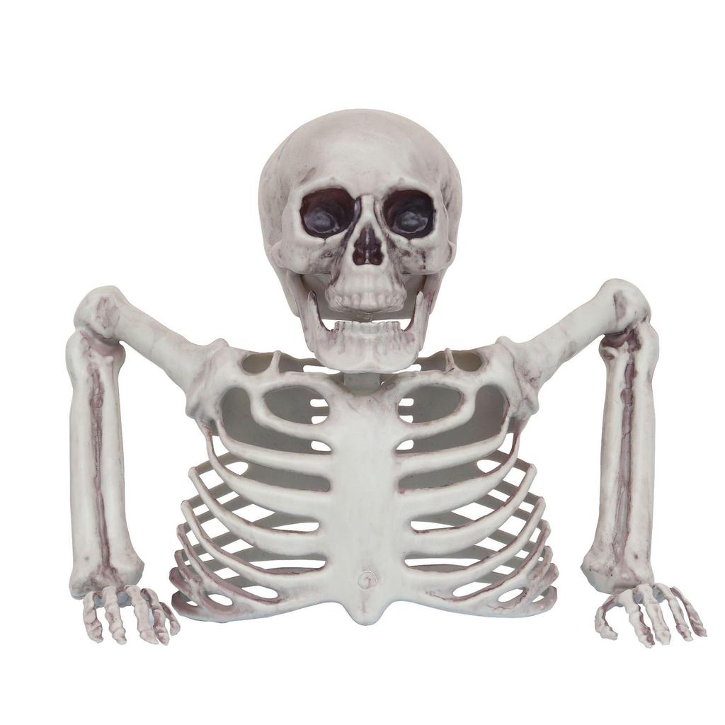 Decorazione scheletro da giardino per Halloween: Decorazione realistica a mezzo busto di teschio per esposizione da giardino a tema horror