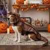Realistisches Halloween-Haustier-Krokodil-Kostüm Weiches hautfreundliches elastisches Band Plüschhund Krokodilanzug Anti-Rutsch Neuheit