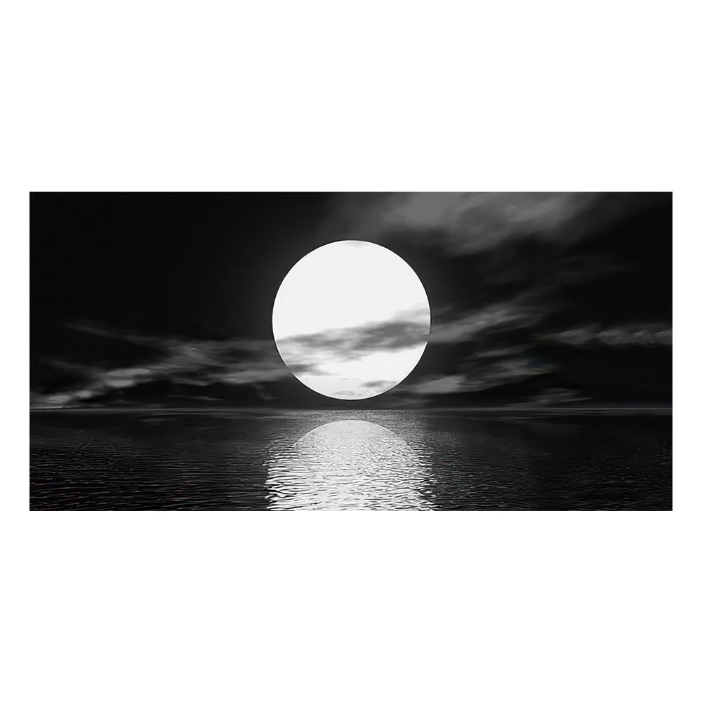 

Декоративное настенное искусство Картина на холсте Морской пейзаж Черно-белый океан Гостиная Спальня Кухня Украшение дома Без рамы 50x100cm