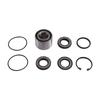 A58X-For BRP Seadoo GTI GTX GTR RXP RXT Oil Seal+ Bearing Kit(Stator Plate) For Engine Models 90 130 155 170 230 300 420889728