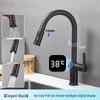 TLXT Black Pull-Out Kitchen Sink Faucet, Hot & Cold