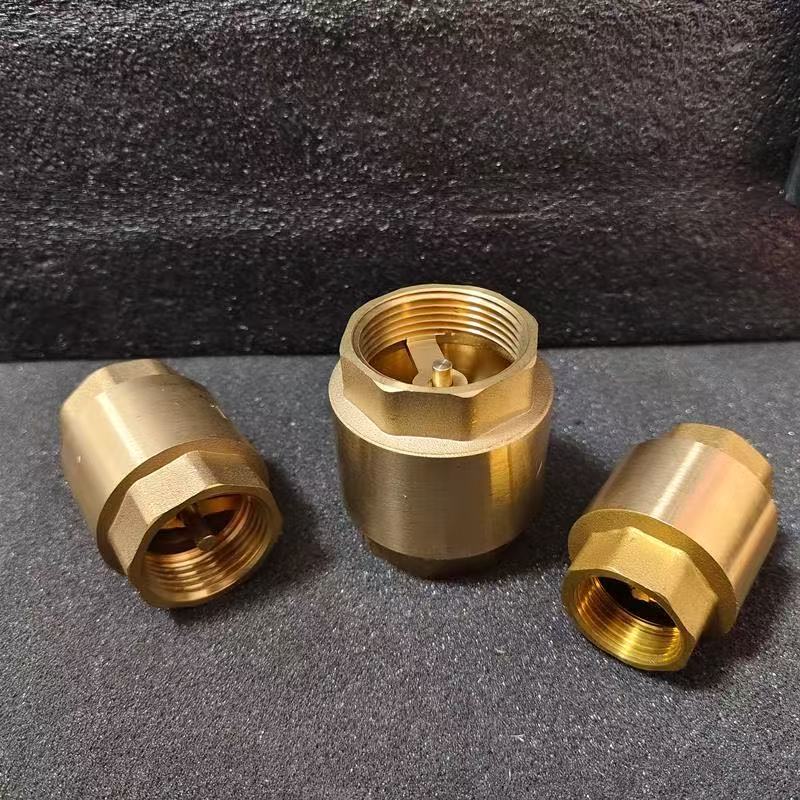 Manual Brass Vertical Check Valve for Water One-Way Spring Check Valve
