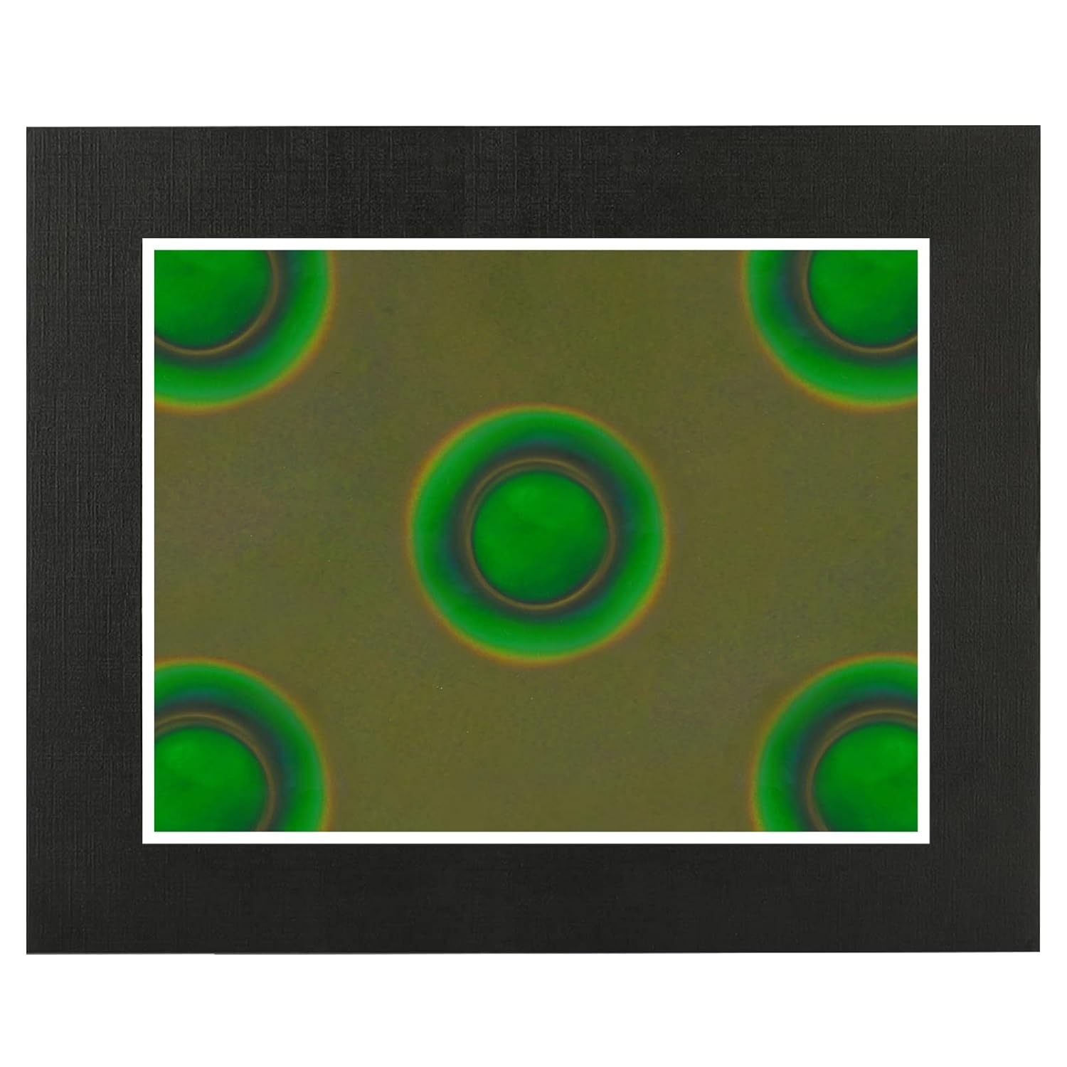 TRYMAG Пленка для визуализации магнитного поля 6x4 дюйма, Многоразовая пленка для просмотра магнитов, Лист для отображения магнитного потока, Мгновенное автоматическое восстановление магнитного узора 6 x4