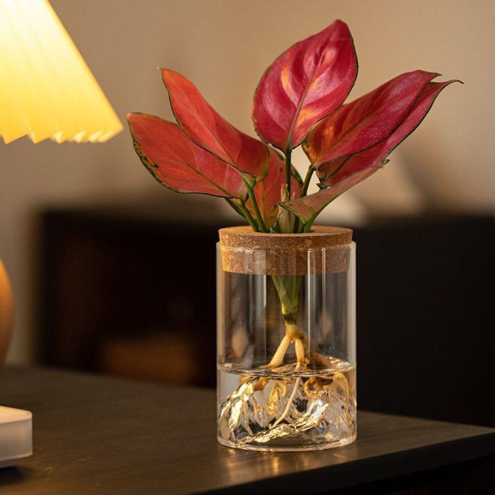 Thickened Hydroponic Flower Holder Glass Flower Pot Plants Holder Flower Vase  Desktop
