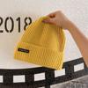 Couple Autumn and Winter Warm Knitted Hat Street Style Patch Wool Hat Women Korean Style Ins Versatile Autumn Ear Protection Hat