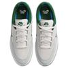 Nové Nike Sb Malor Platinum Tint Fir FV6064-002