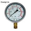 Chuanyijia YN60 Shock-Resistant Pressure Gauge (CN Version)