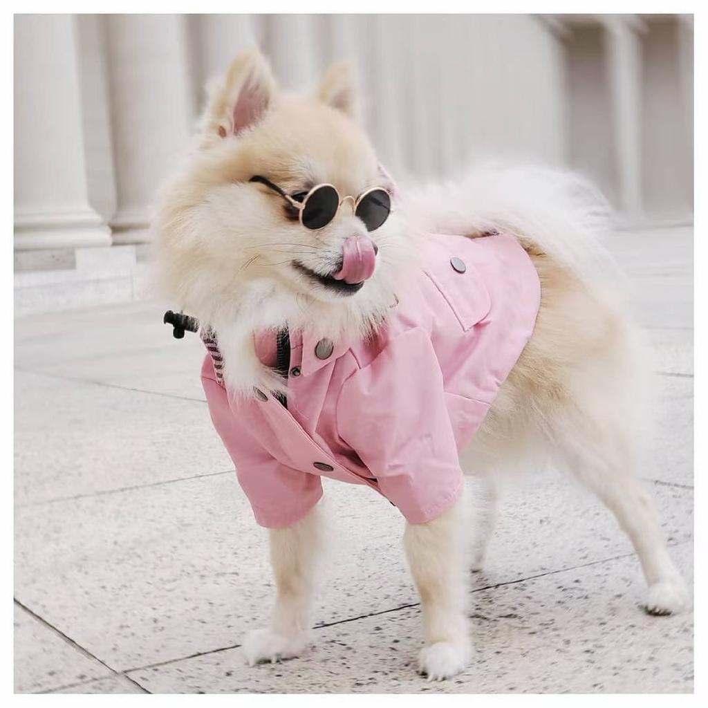 Wasserdichter Hundemantel für kleine, mittelgroße und große Hunde, Katzen, Haustier-Regenmantel, Hundesport-Kapuzenpullover, Haustiermode, hochwertige Kleidung