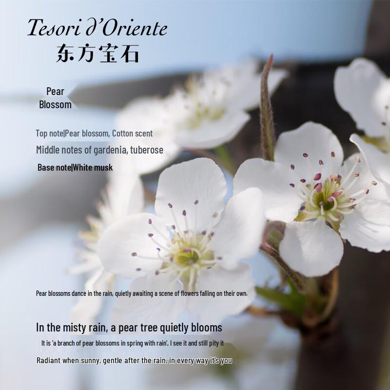 Tesori d'Oriente Duftendes Shampoo & Conditioner Set