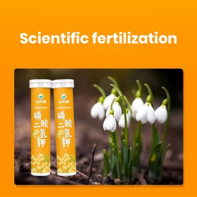 22 stuks kaliumdiwaterstoffosfaatmeststof planten bloemen groen groei voedingssupplement langzame afgifte