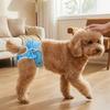 Adjustable Pet Physiological Pants Washable Pet Protective Pants Dog Diaper  Menstrual Period