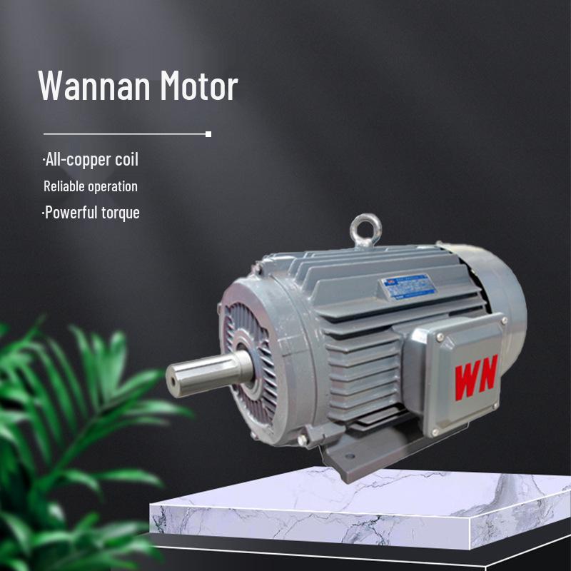 Anhui Wannan YE3 Super-Efficient Copper Coil Three-Phase Motor