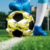 Pettson and Findus Theme Size 5 Soccer Ball, Suitable for Both Indoor and Outdoor Matches, a Gift Suitable for Everyone.