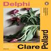 Delphi by Clare Pollard Paperback Book 9780241995266