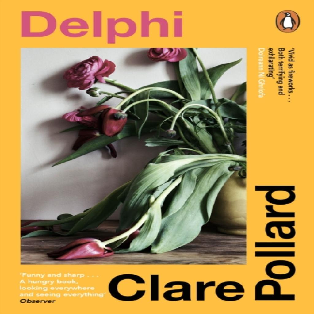 Delphi by Clare Pollard Paperback Book 9780241995266