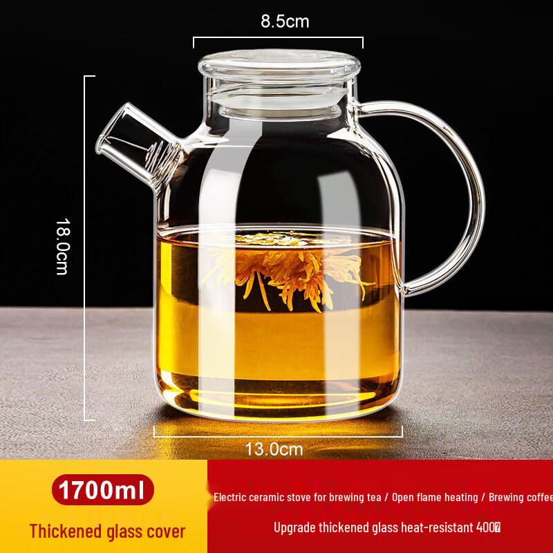 ZISIZ High-Temperature Glass Teapot & Cold Water Pitcher