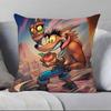 Game Cartoon Crashs B-B-Bandicoot Pillow Case Pillowcase Soft Skin Friendly & Comfortable With A Hidden Zipper