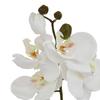 Hill Interiors Butterfly Orchid Artificial Flower