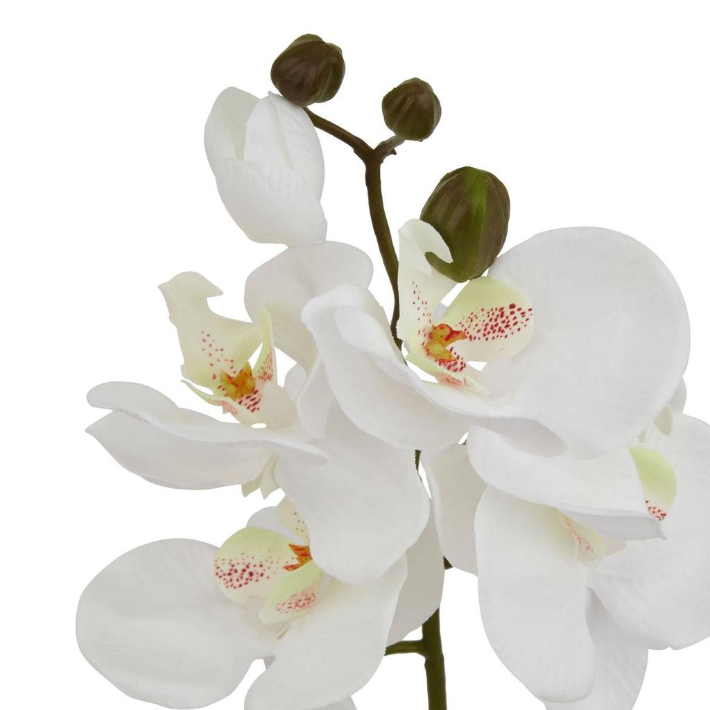 Hill Interiors Butterfly Orchid Artificial Flower