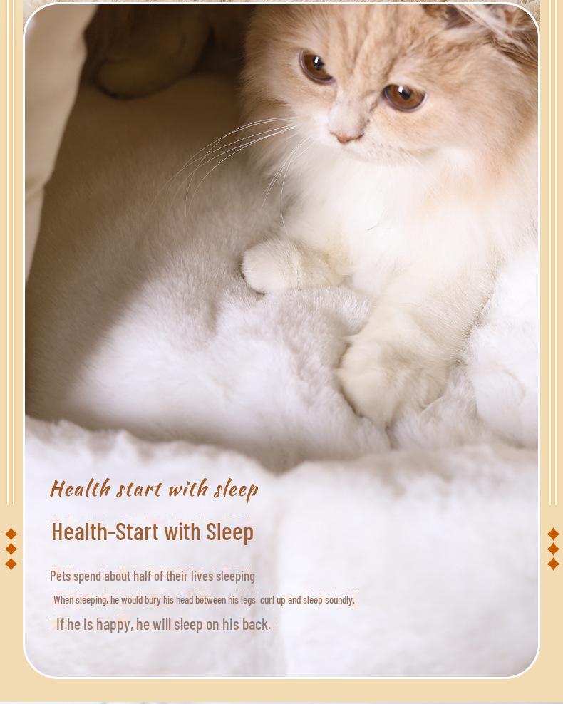 Luxury Outdoor Dog Kennel & Cat Villa Bed