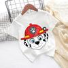 Cute Boys Girls Casuals Tops Summer Birthday Clothing Gift Hots Paw Patrol Kids T-shirts Kawaii Cartoon Character Printed Shirts