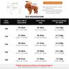 Winter Pet Jacket for Small Dogs Waterproof Windproof Zip-Up Snowsuit Fully Covered Belly Thicken Overalls for Girl/Boy Dogs