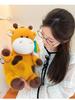 Cute Chun Chun Plush Doll Pillows – Valentine's Gifts for Kids