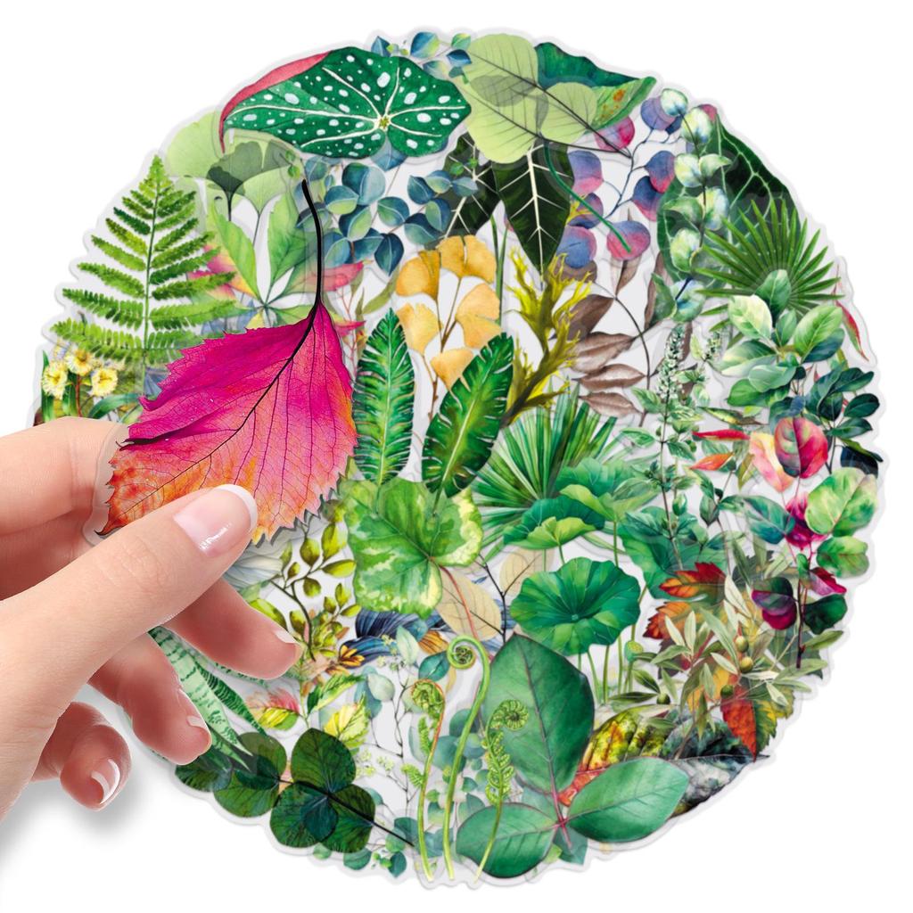 50 Transparent PET Leaf Stickers: Cartoon Plants & Green Leaves for DIY Decoration