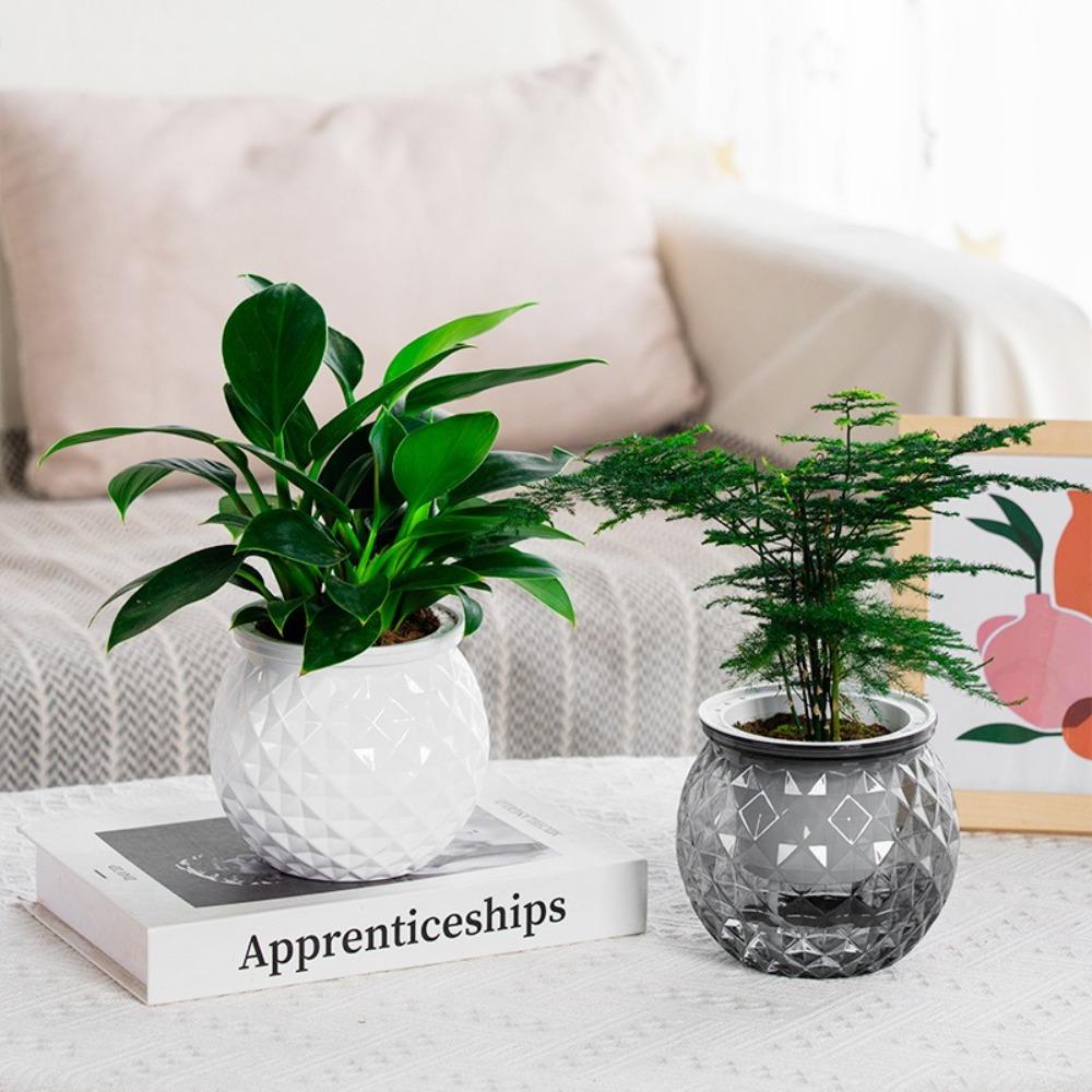 Plastic Hydroponic Plants Pot Removable Office Bonsai Decor New Flowerpot