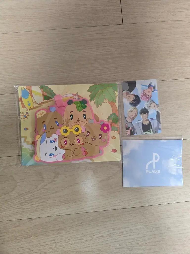 PLAVE Flower Card Primary + Secondary Photo Card Luggage Set (Bulk Purchase)