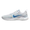 Nike Flex Experience Run 10 'Pure Platinum Imperial Blue' Sneakers CI9960-010