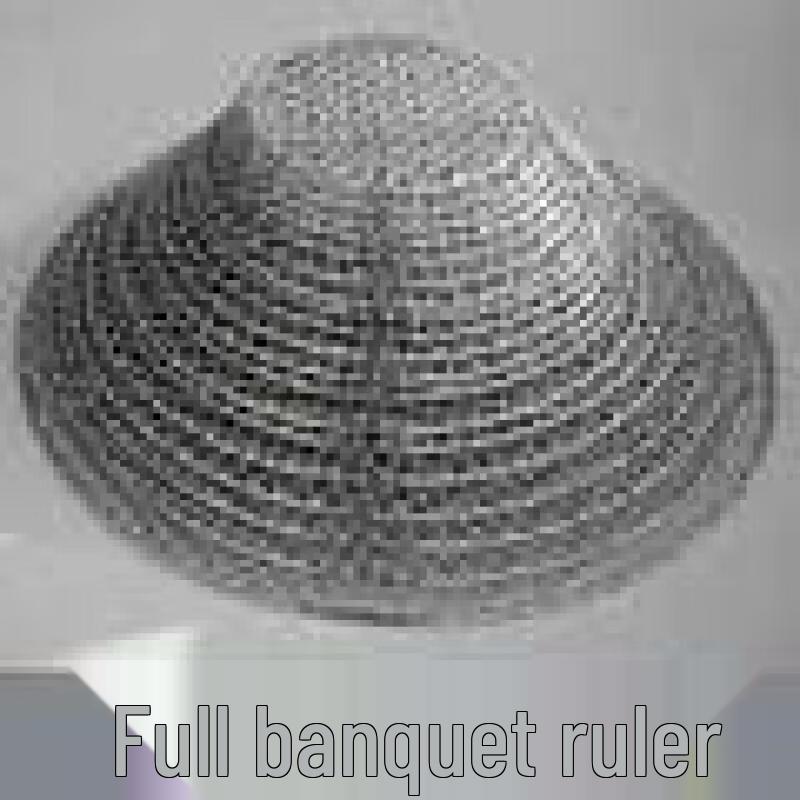 ZISIZ Stainless Steel BBQ Grill Net