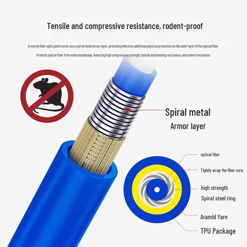 Rongweisheng Armored Dual-Core Single-Mode Fiber Optic Patch Cable