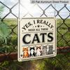 2D Flat - 1pc, Vintage Metal Aluminum Decorative Sign, Humorous Slogan for Cat Lovers, Retro Wall Decor, Home Decoration Suitable for Porches