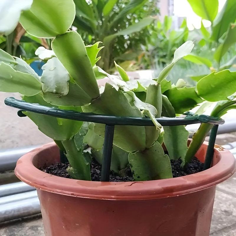 4pcs Plastic Plant Support Pile Frame Greenhouse Arrangement Semicircle Fixed Rod Indoor Flower Plant Vine Climbing Bracket