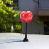 GLEAVI Apple Shape Car Antenna Topper Cute Decoration Fruit Ball Car Roof Universal Car Antenna Topper for Most Vehicles