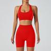 Yoga Outfit Women Seamless High Elastic Shorts Sports Bra Set With Moisture Wicking For Fitness And Running
