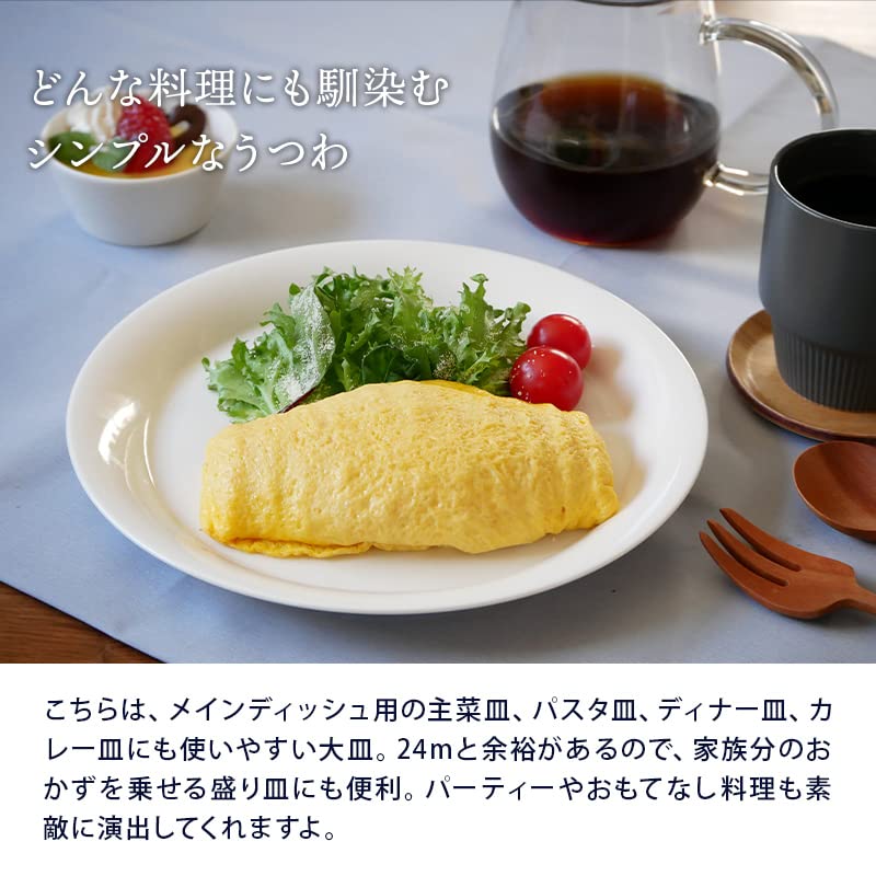 EAST Table Newborn Rim Made In Simple Microwave and Dishwasher Safe Plate, 24cm, 712-007, Japan, Design,