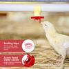 30Pcs Chicken Waterer Nipple Drinkers Poultry Animal Automatic Waters Quail Pigeon Bird Outdoor Farming Tool