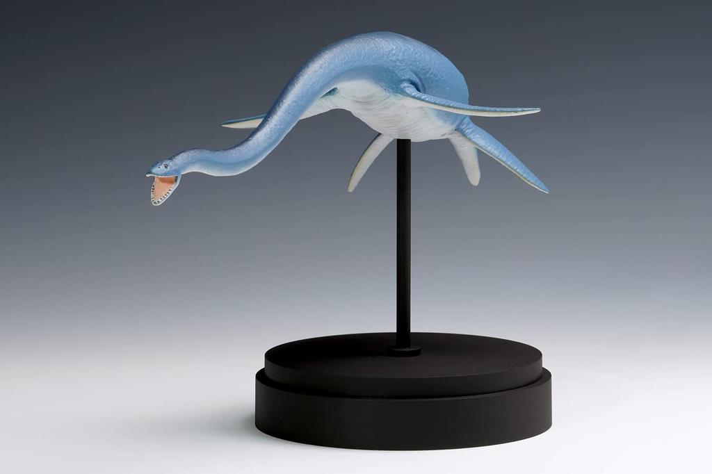 Wave Futabasaurus Ryu Total length 23cm Plastic model Molded color 1/35 approx. OG-031