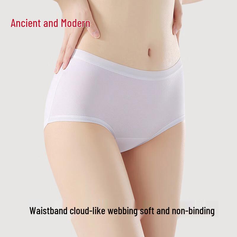 GUJIN Women's 4-Pack Antibacterial 100% Cotton Briefs