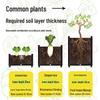 Extra Large Plastic Raised Vegetable & Flower Planter for Balcony/Courtyard