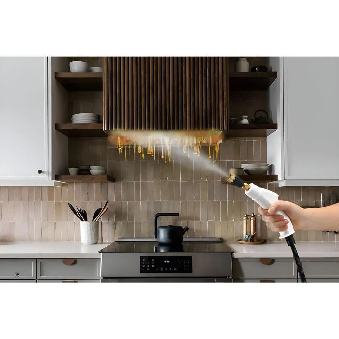 Steam Cleaner, 2500 W, 3 Bars, 1000 Ml, High Temperature Sterilization, Fast Heating, Convenient, Portable, White