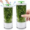 Fresh Herb Keeper Herb Preserver with Ventilation Herb Saver Clear Herb Storage Container for Cilantro Mint Parsley Asparagus