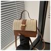 Simple Casual Small Square Bag Women's New 2025 Spring New Niche Beautiful Messenger Bag Personalized Trend Shoulder Bag