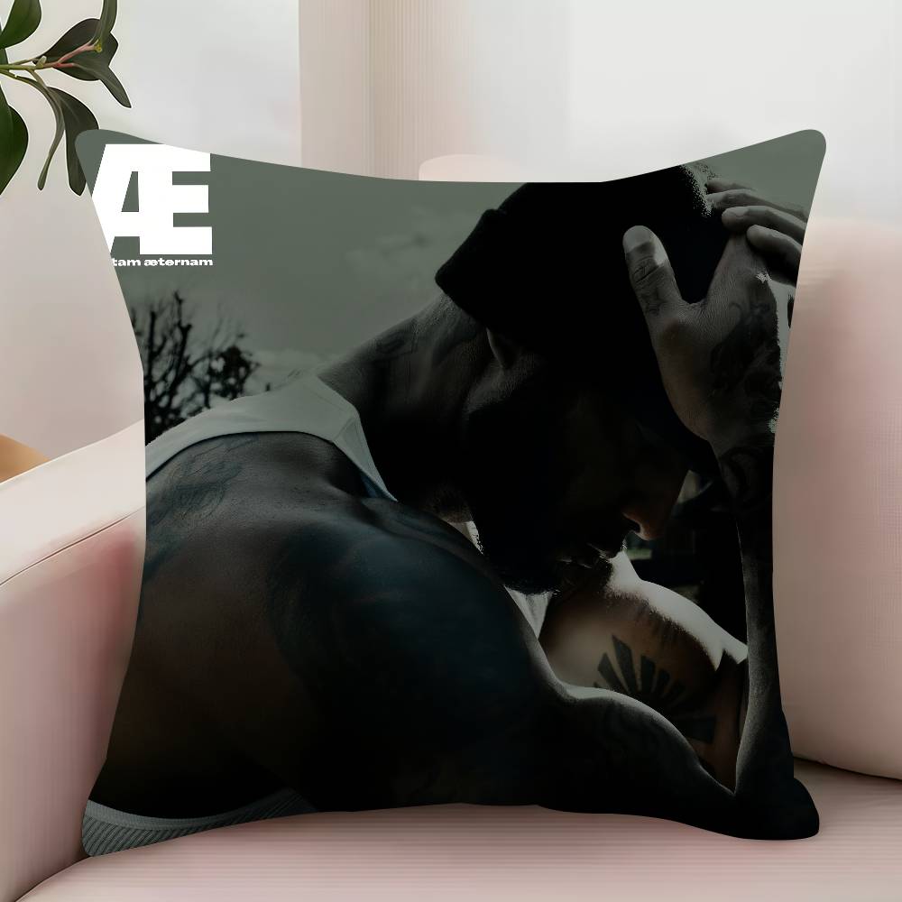 B-Booba ad vitam aeternam Pillow Case Decor Protective Covers Comfortable soft for Sofa Living Room Home office 12x12Inch