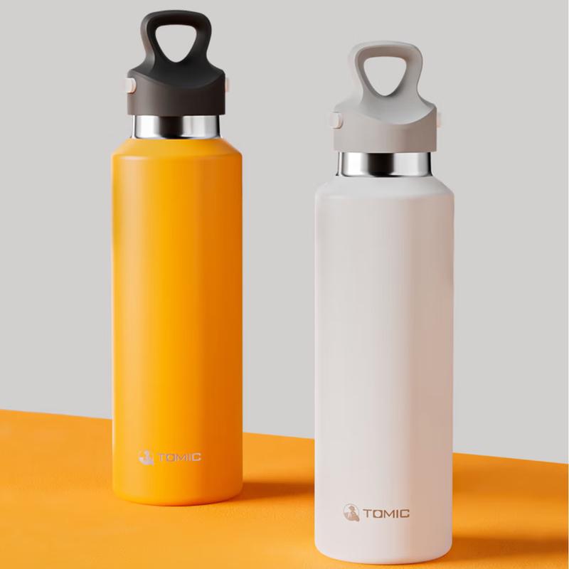 Temeke Portable Insulated Mug